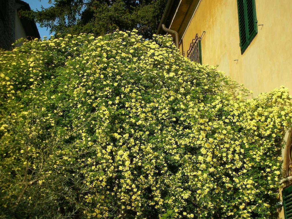 Locanda Giolica Прато Экстерьер фото